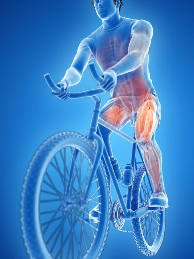 imagem do corpo humando em uma bicicleta, destacando os musculos trabalhados ao pedalar