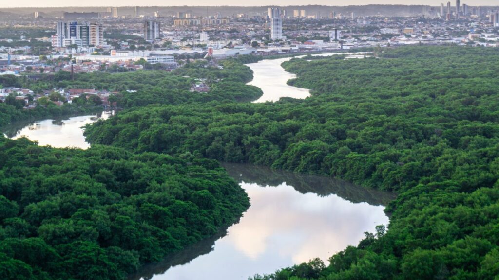 Passeio pelos canais de Recife.