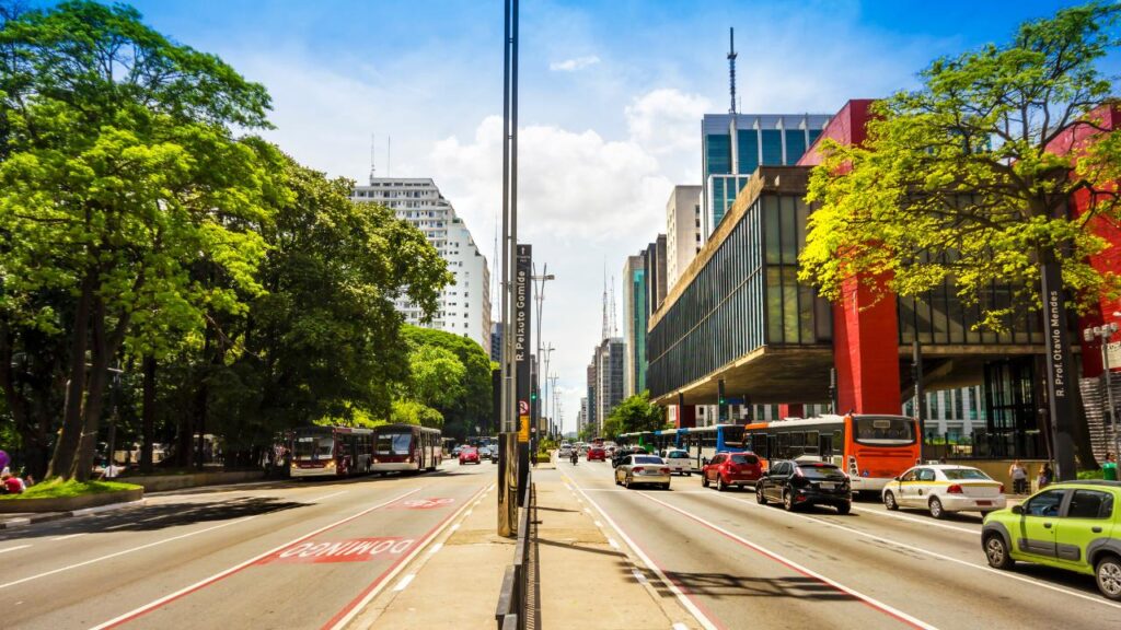 imagem de uma das vistas da avenida paulista