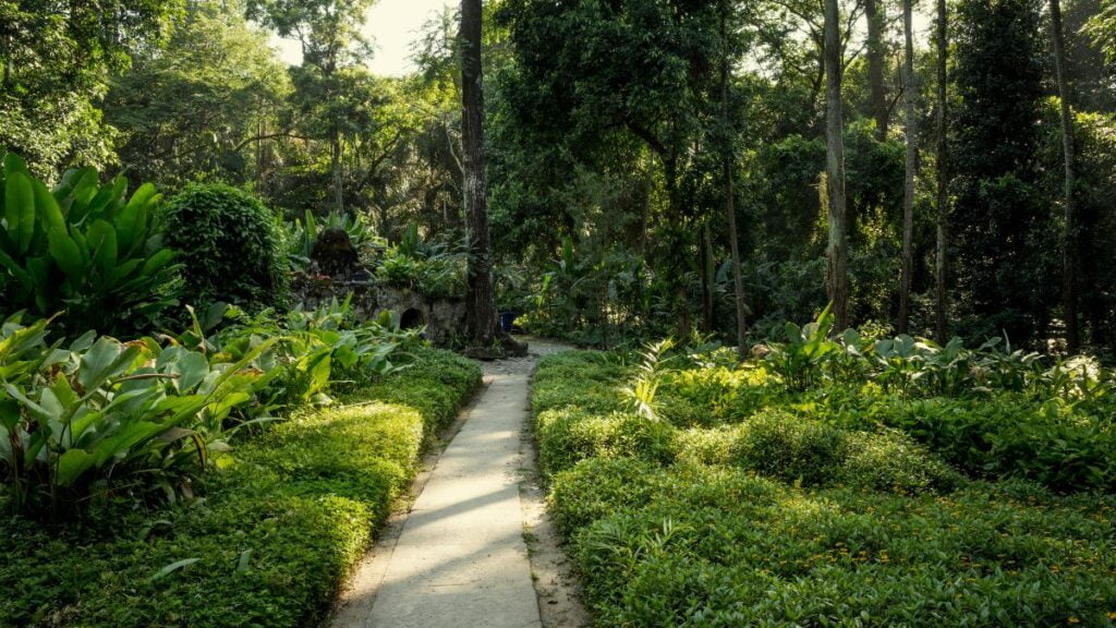 trilha no parque lage