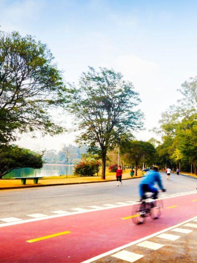 ciclovia do parque ibarapuera