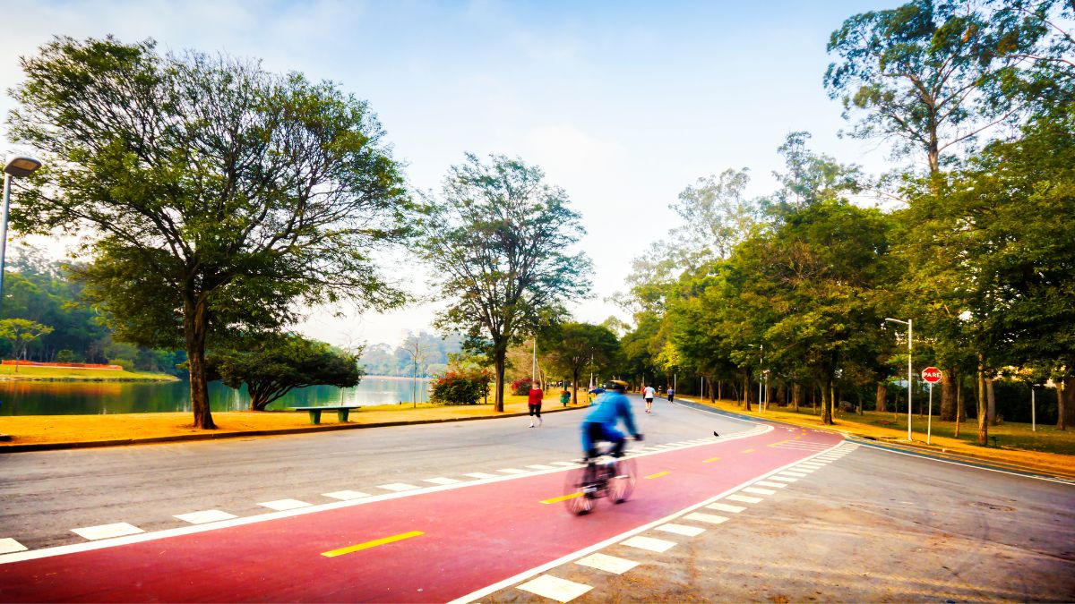 ciclovia do parque ibarapuera