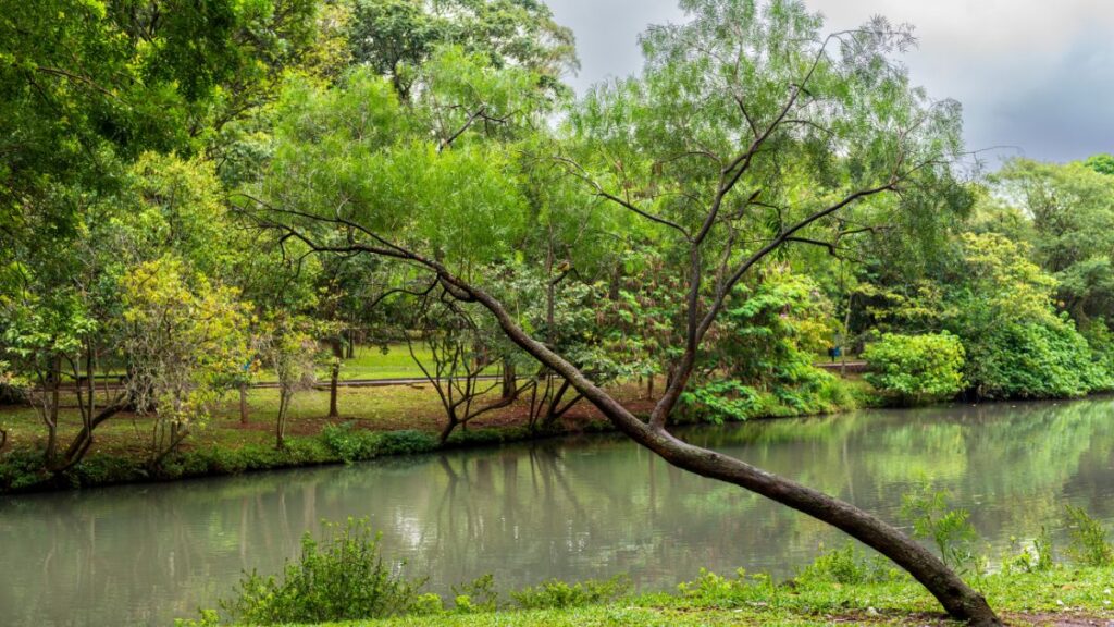 parque horto em sp