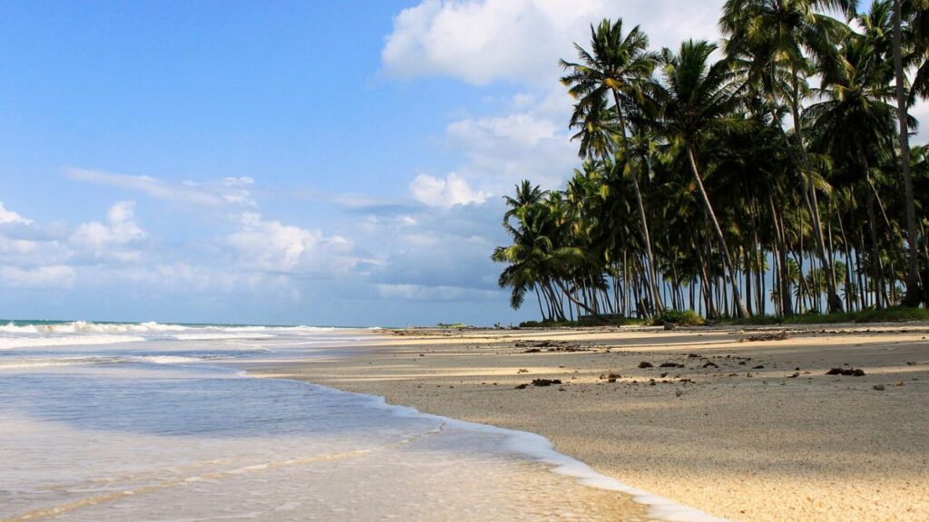 praia dos carneiros em pernambuco